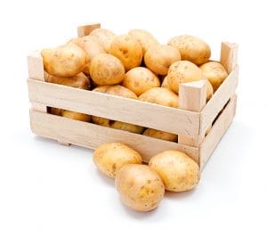 Fresh white potatoes crop in wooden crate